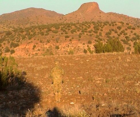 Отличная маскировка (39 фото)