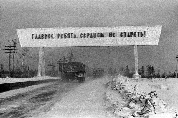 Прикол картинка