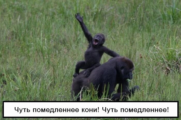 Фотоприкол онлайн