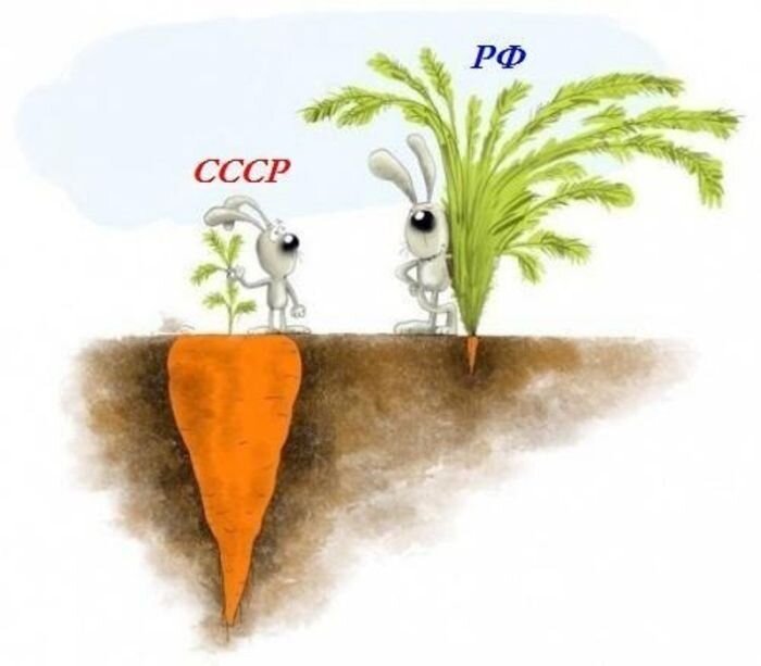 Фотоприкол недели