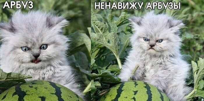 Улетное фото