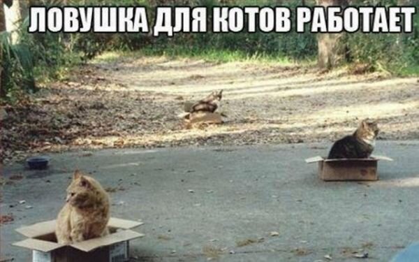 Фото онлайн