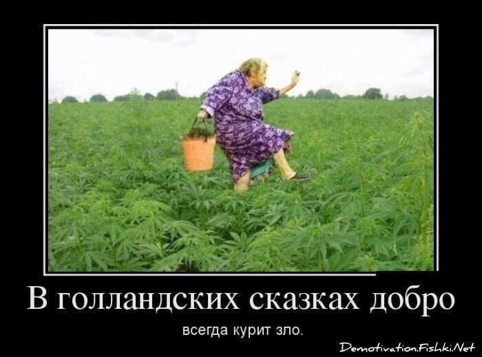 Демотиватор