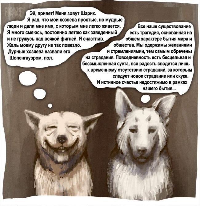 Прикол картинка