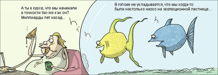 Фотка