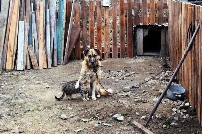 Юмор