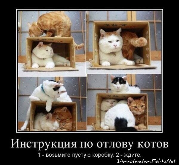 Смешной демотиватор от zubrilov за 17.08.2012 №124945