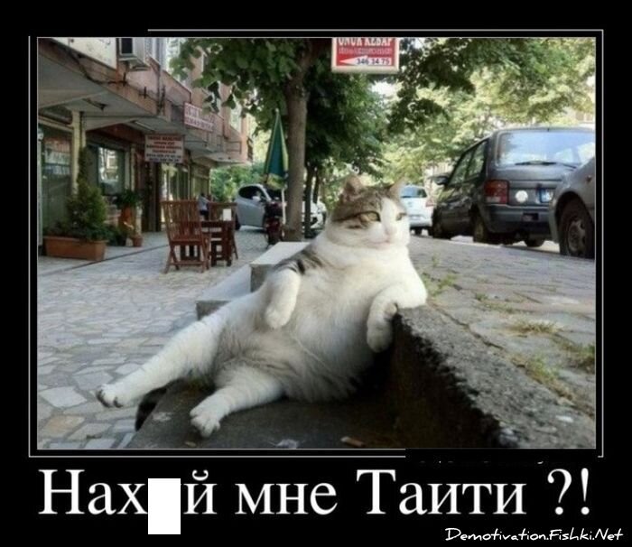 Смешной демотиватор от zubrilov за 17.08.2012 №124955