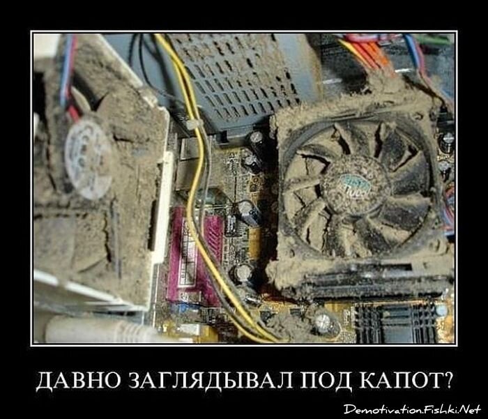 Смешной демотиватор от zubrilov за 17.08.2012 №124984