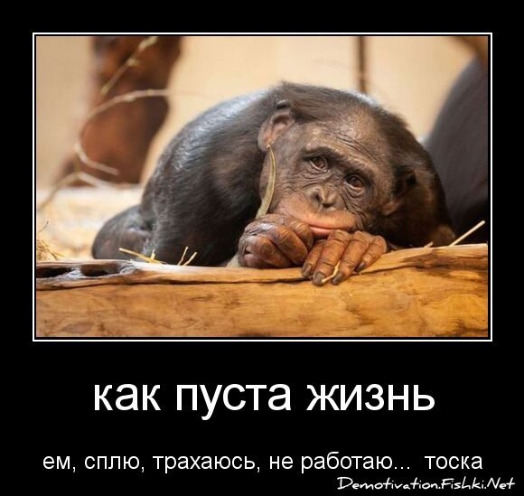 как пуста жизнь