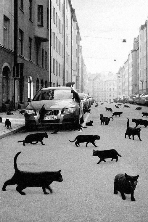 Фотка