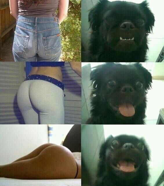 Фотоприкол онлайн