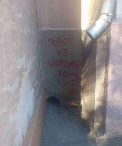 Новые фото