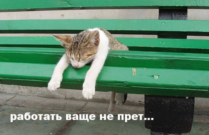 Фотоприкол