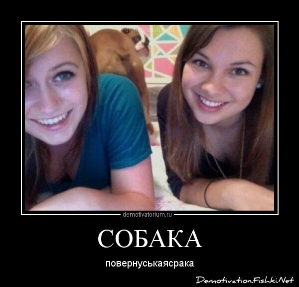 Демотиватор