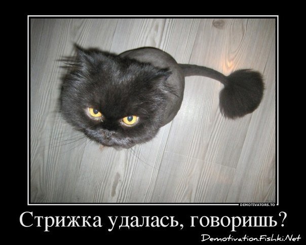 Смешной демотиватор от zubrilov за 20.08.2012 №125252