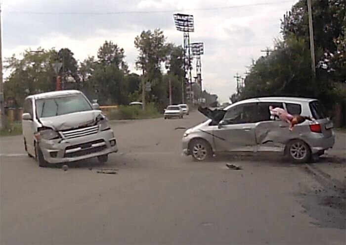 Видео дня