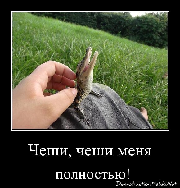 Чеши, чеши меня