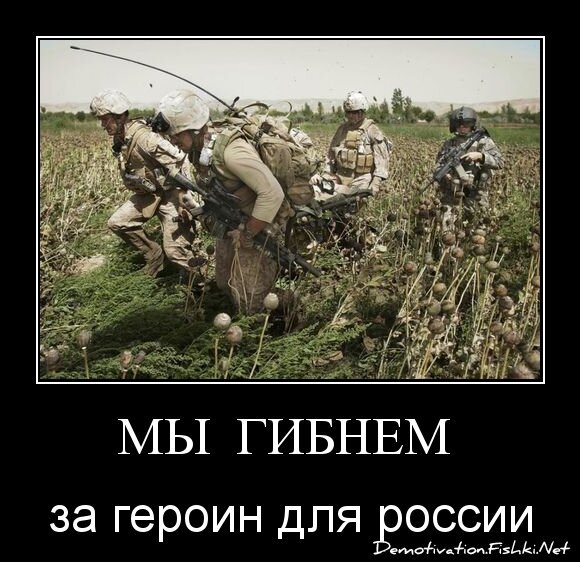 МЫ  ГИБНЕМ 