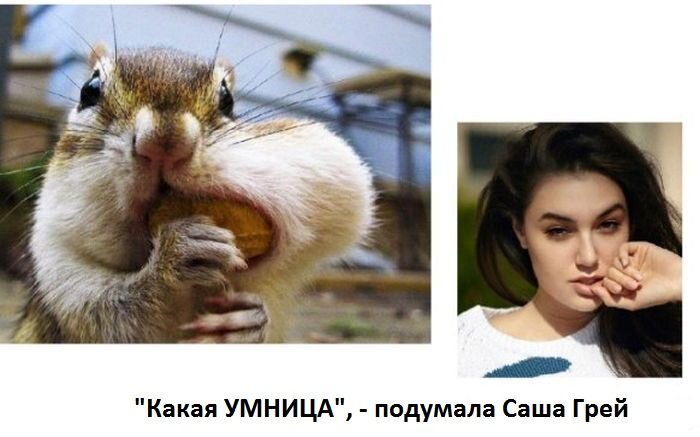 Новые фото