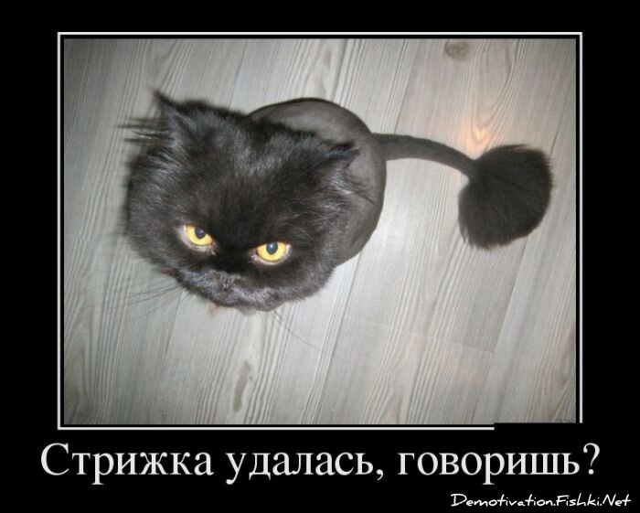 Смешной демотиватор от zubrilov за 22.08.2012 №125550