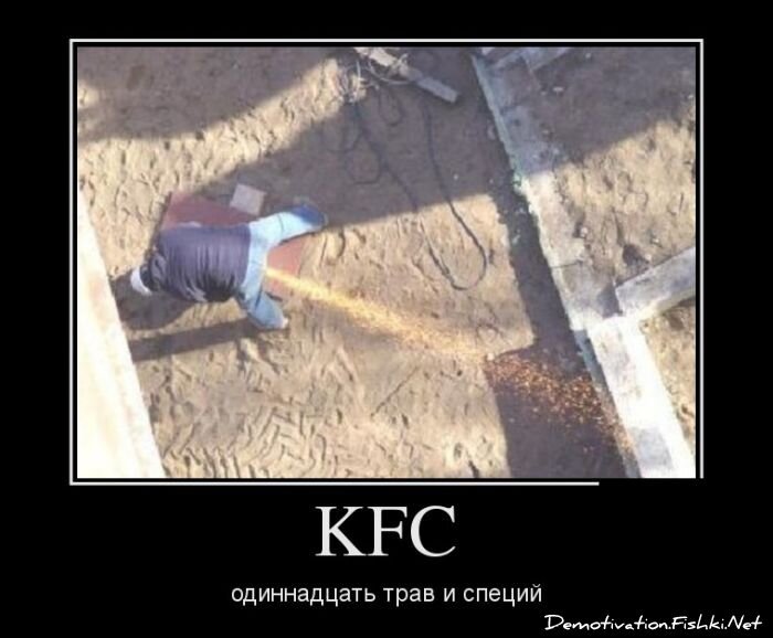 Демотиватор