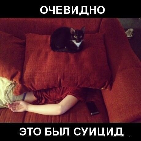 Свежий фотоприкол