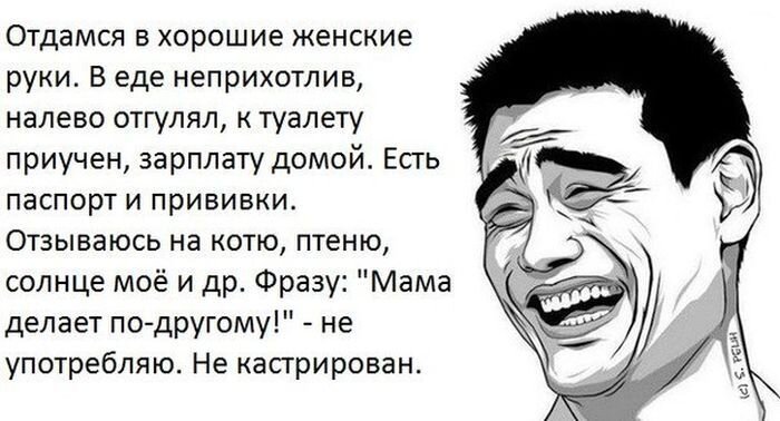 Смешная фотогалерея