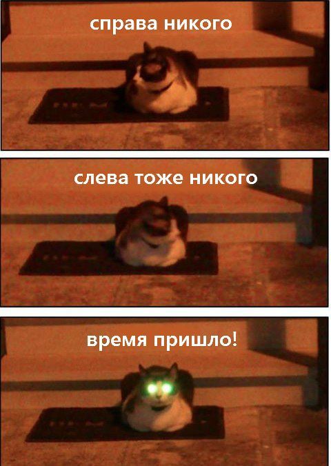 Прикол