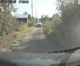 Подборка роликов