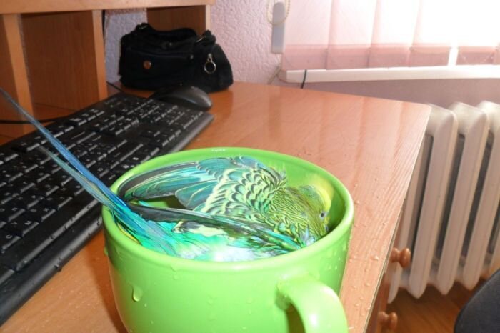 Юмор прикол