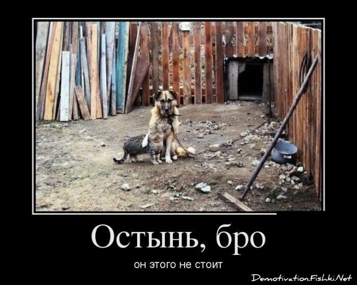 Смешной демотиватор от zubrilov за 24.08.2012 №125966