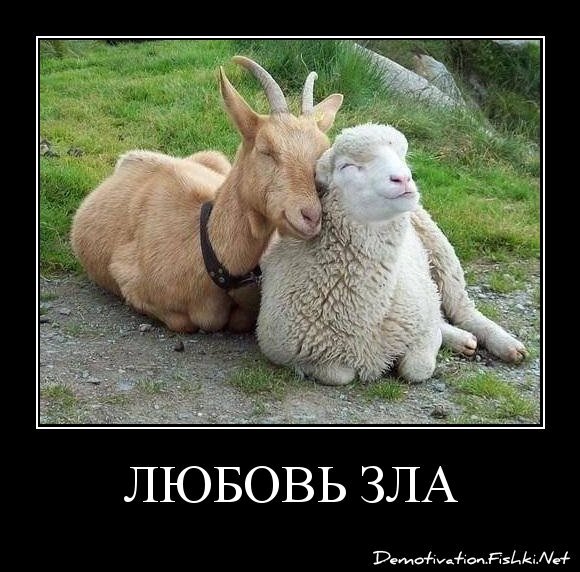 любовь зла
