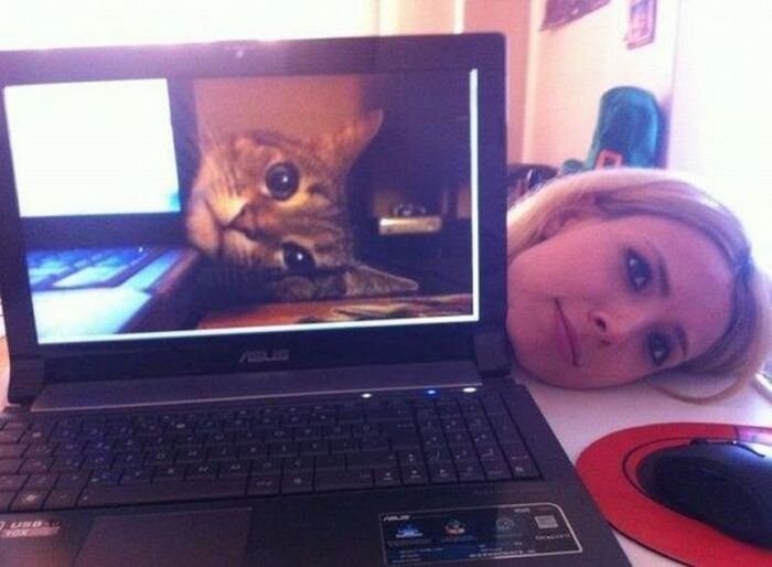 Новый фотоприкол