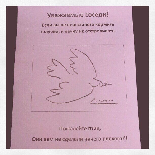 Свежий фотоприкол