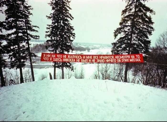 Бесплатно фото
