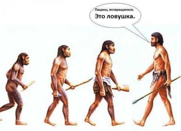 Фотоальбом
