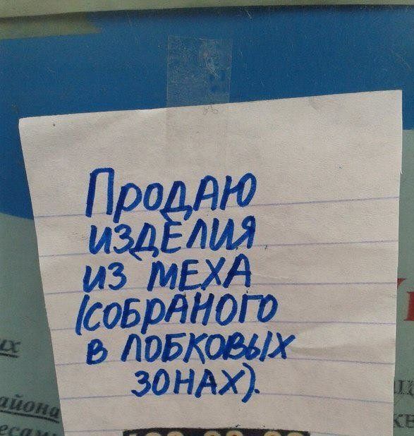 Смешная фотогалерея
