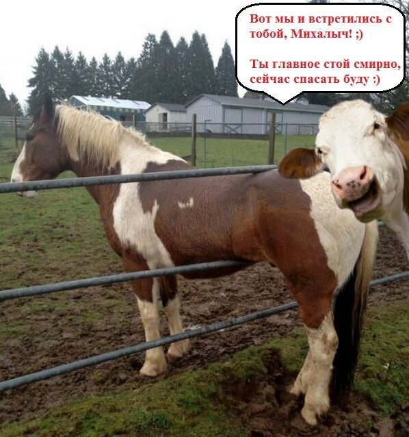 Бугагашеньки
