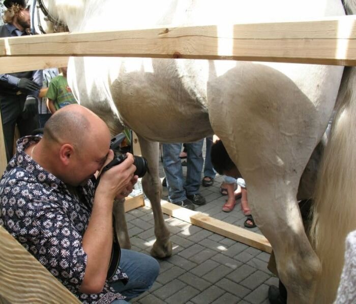 Фотоприкол онлайн бесплатно
