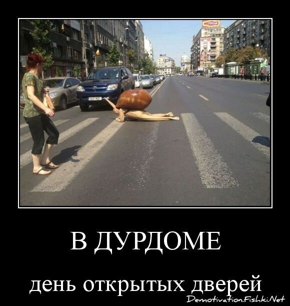 В дурдоме