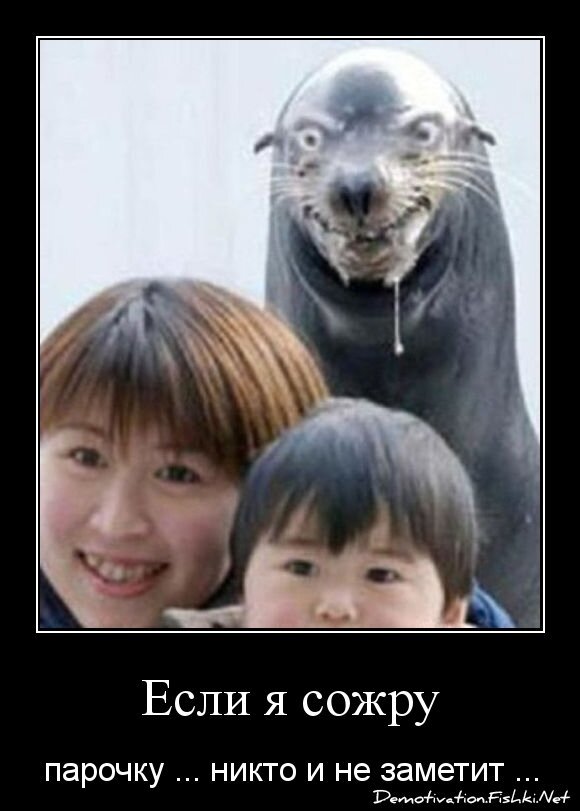 Если я сожру