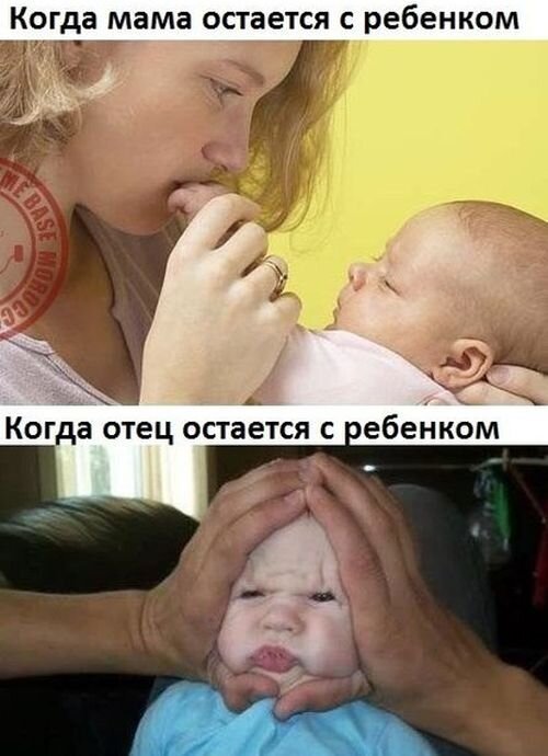 Свежий фотоприкол