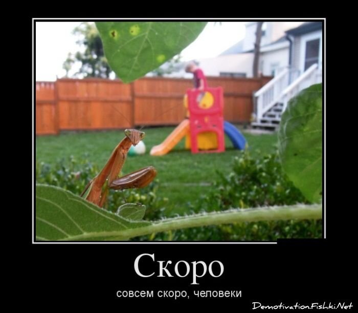 Смешной демотиватор от zubrilov за 31.08.2012 №127097