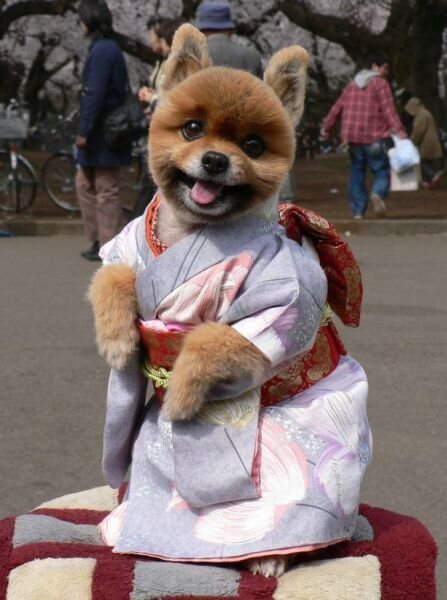 Фотоподборка