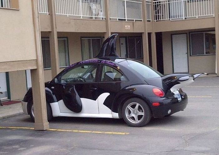 Прикол