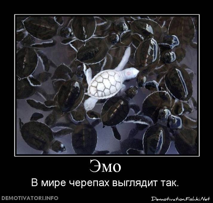 Смешной демотиватор от zubrilov за 03.09.2012 №127317