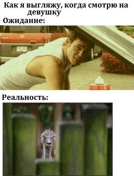 Новые фото