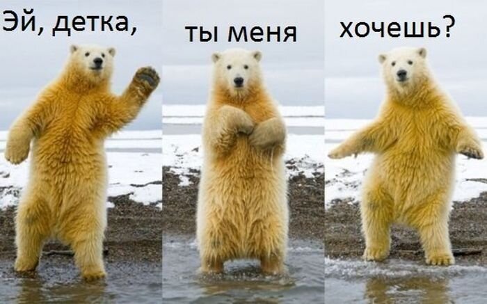 Фото прикол