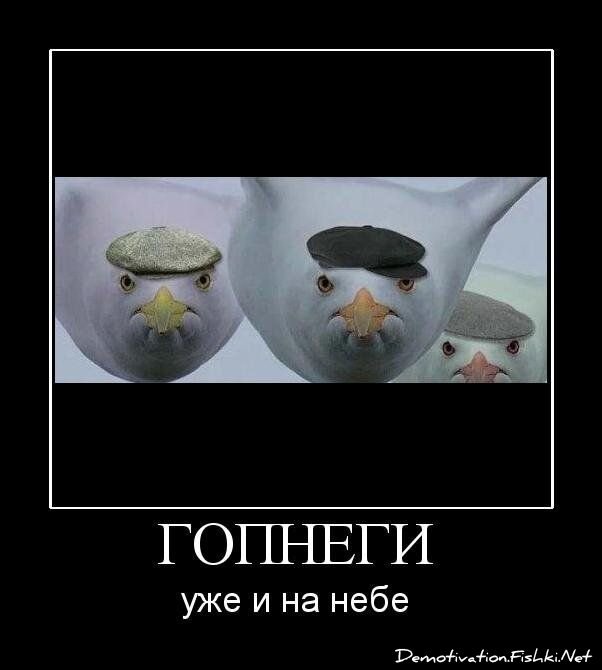 Демотиватор